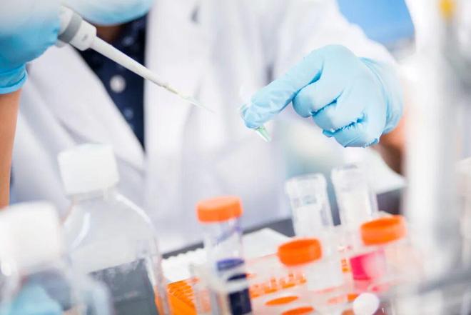 喜讯 | 中源协和参与国家“十四五”前沿技术重点研发项目，助力我国细胞治疗产业高质量发展