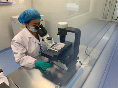 蓄能“创新力” 细胞技术研发与应用的突破与前景