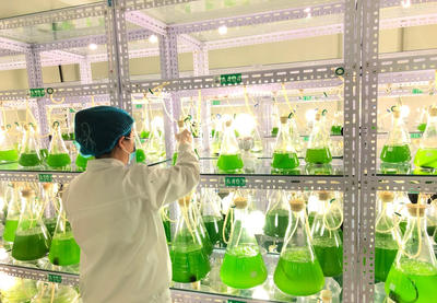 科技赋能，振兴乡村 内蒙古企业捐赠千万元微藻修复液助力农牧业增产增收