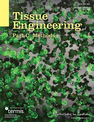 3D干细胞大规模制备工艺荣登国际期刊封面，华龛生物引领细胞技术新突破